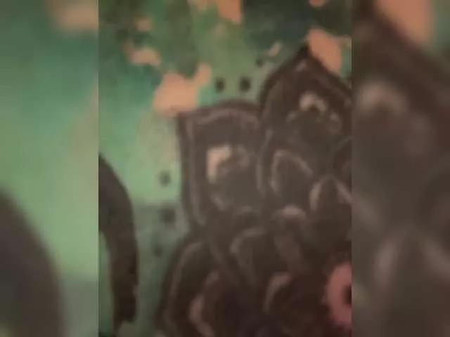 AbsintheGirl on BongaCams