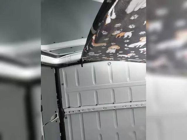 AsiaGoesPro on BongaCams 