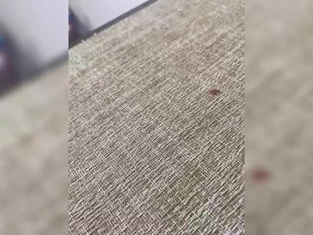 Freechat Xyligana on BongaCams