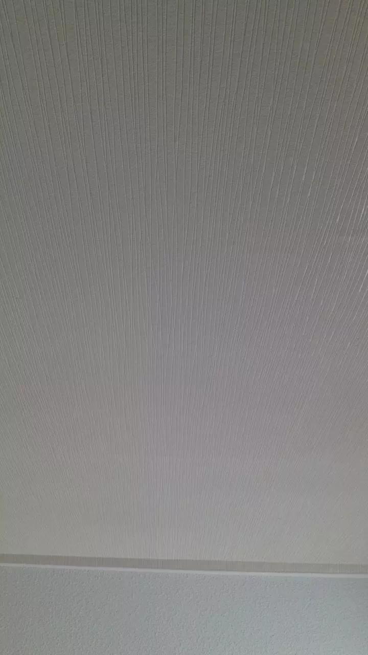 callmem1 on Cam4 