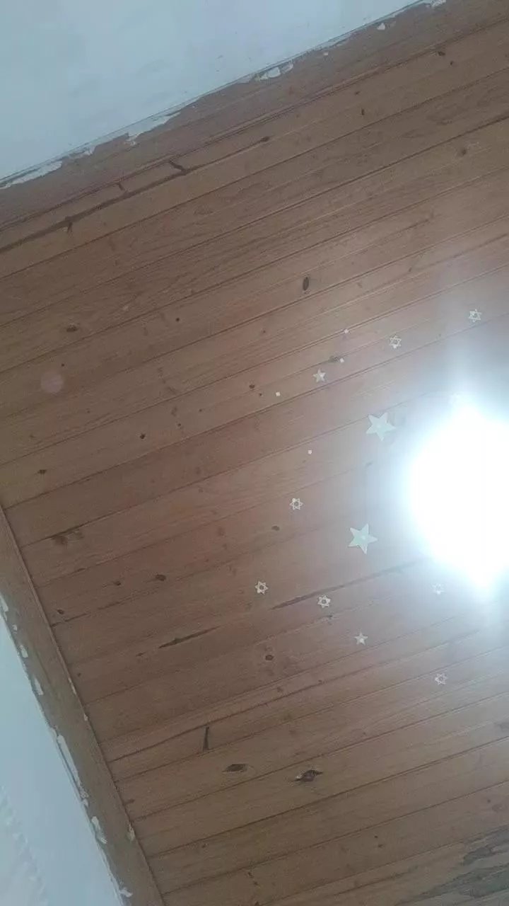 Casalnovinhos19 on Cam4 