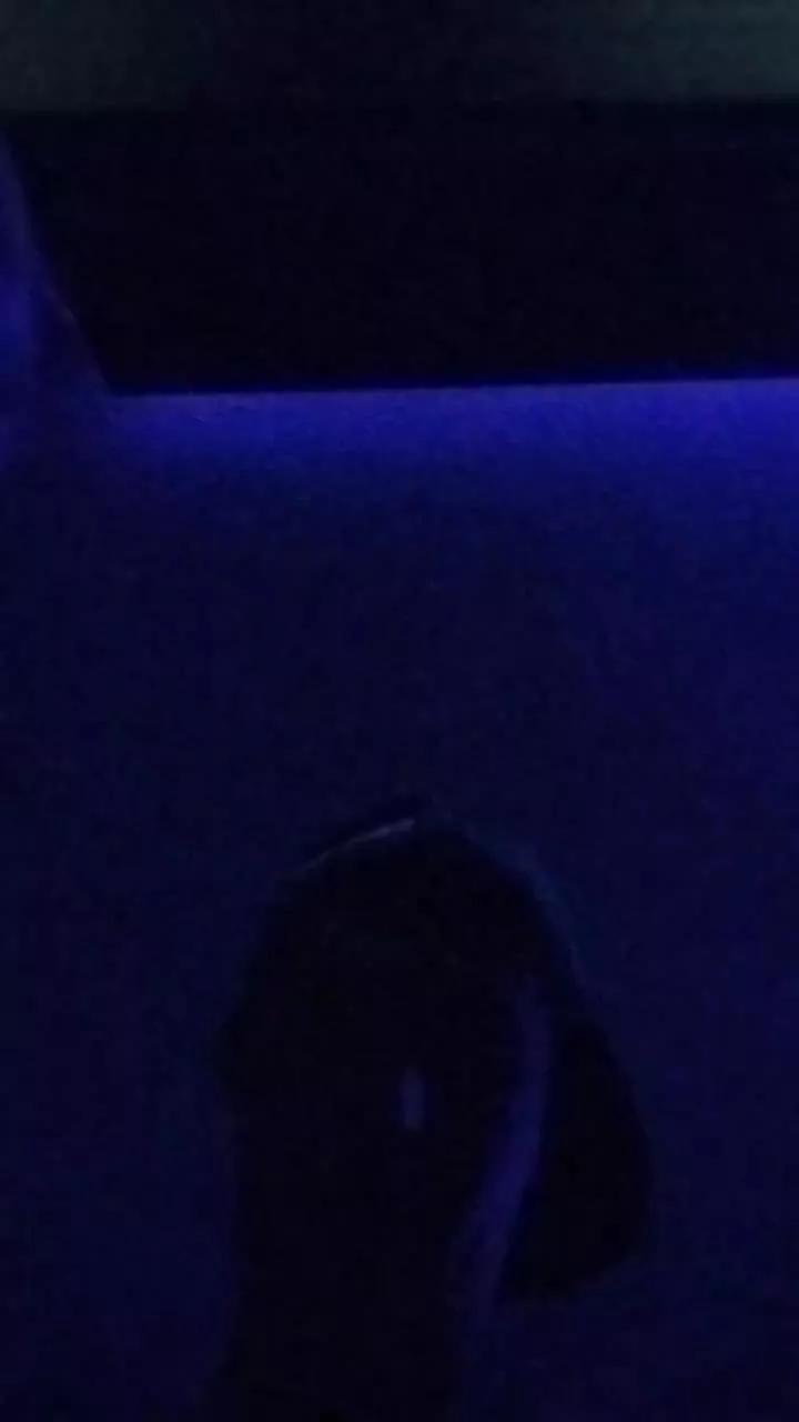 dickthump69 on Cam4 