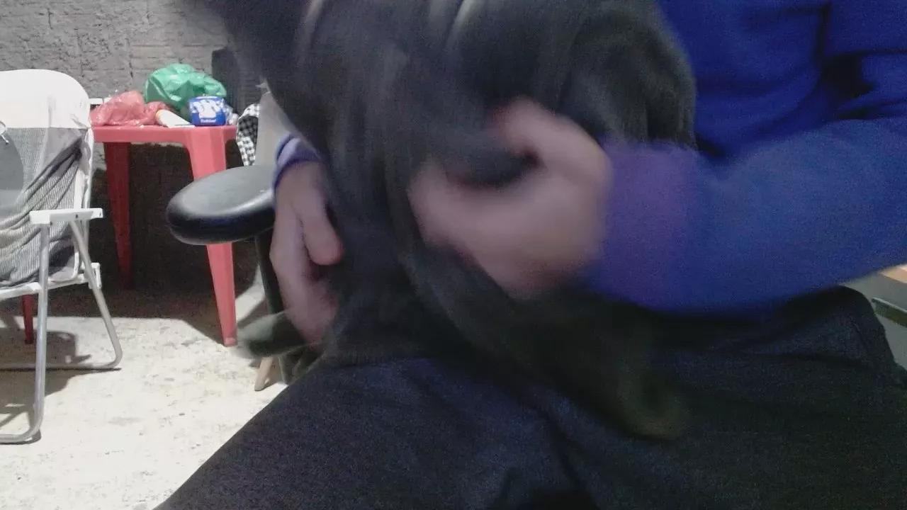 hppnn2 on Cam4 