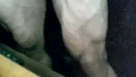 JohnnyDoe2025 — Freechat on Cam4