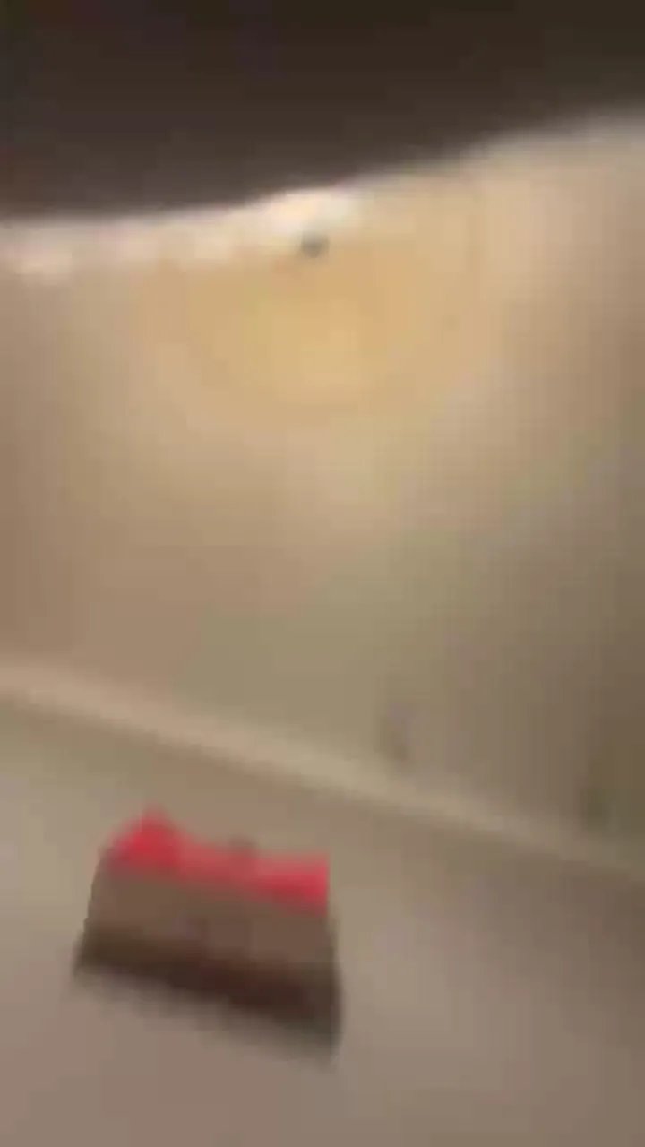 lamisse35 — #amateur