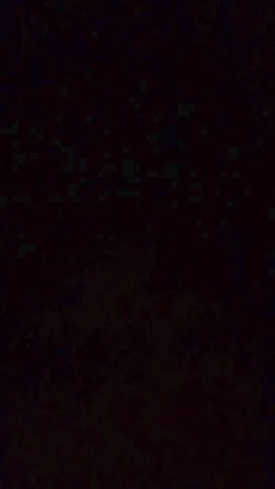 Laryme — Freechat on Cam4