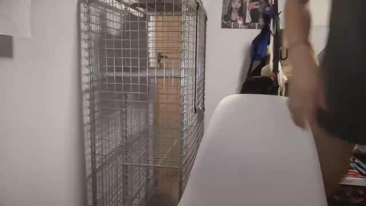 lztrf on Cam4 
