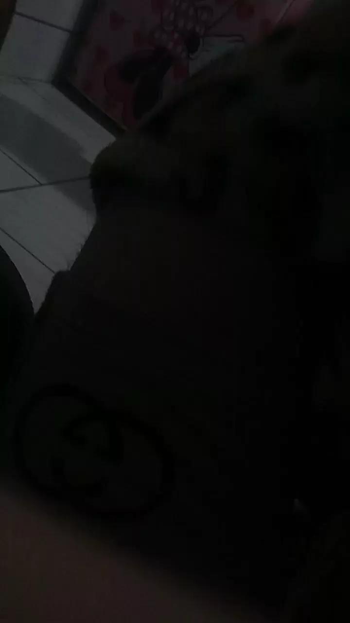 Mateusafadao on Cam4 
