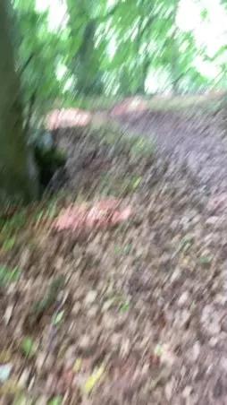 Outandabout on Cam4 