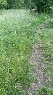 Outandabout on Cam4 