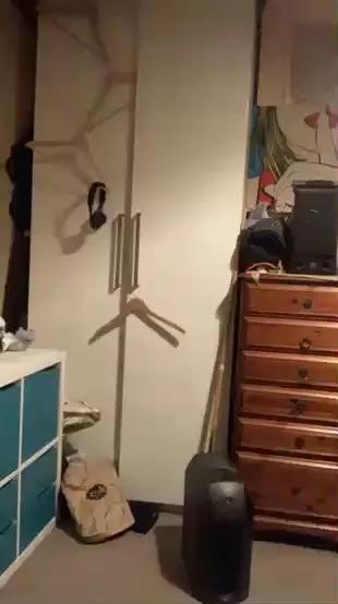 tysonrl on Cam4 