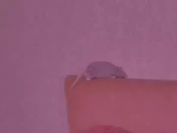 barbara_bb on Chaturbate 