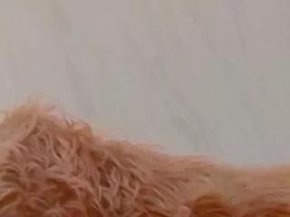 nazanin_hunter on Flirt4Free 