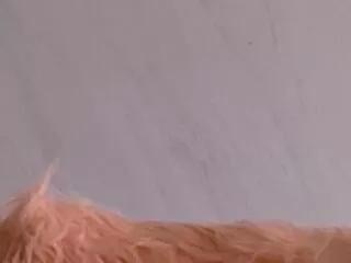 nazanin_hunter on Flirt4Free 