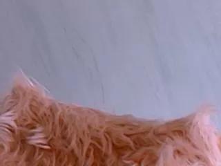 nazanin_hunter on Flirt4Free 