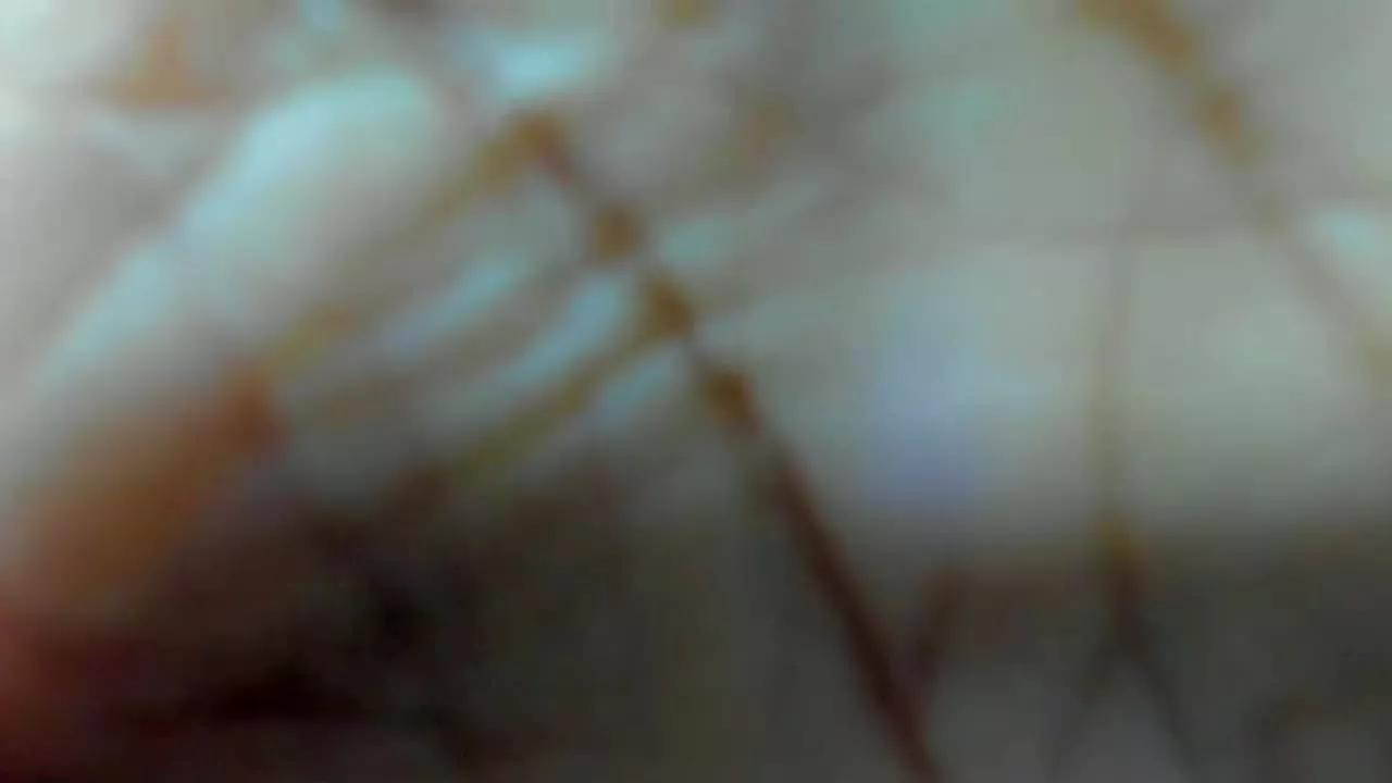Adara_Cooper on Streamray 