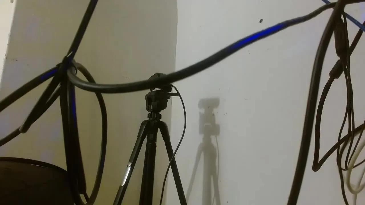 Isabellarossi — Freechat on Streamray