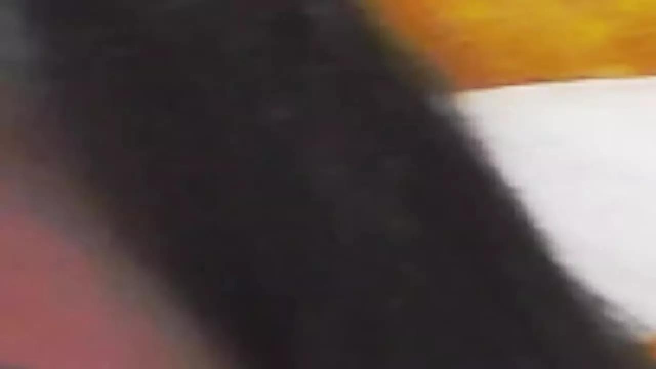 LolaCruz on Streamray 