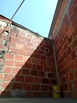 ariana_d20 on StripChat 