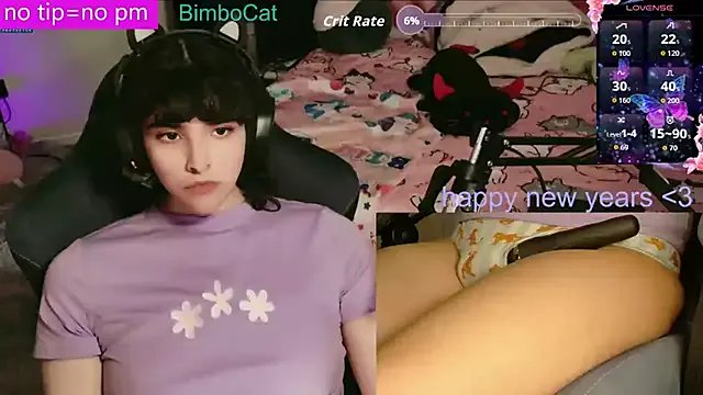 BimboCat