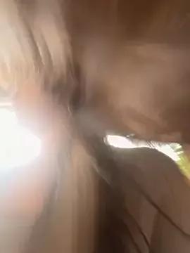 chenyu0308 on StripChat 