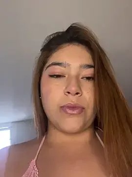 Cielo-23 model from sc