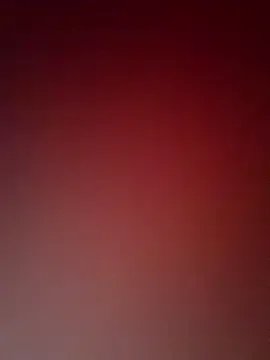 CocoaParadise_