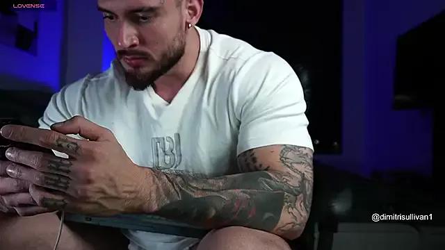DimitriSullivan_ on StripChat 