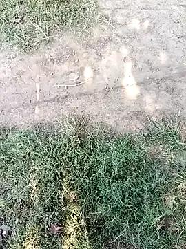 StripChat Mehta_seema is Freechat Mehta_seema — Freechat on StripChat