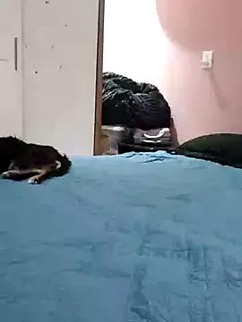 Freechat melissa_35_ on StripChat