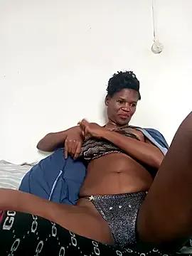 Freechat Missvixen81 on StripChat