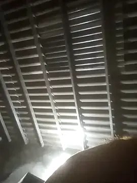 Sgs594802799 — Freechat on StripChat