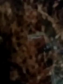 Freechat Sudubeby2410 on StripChat